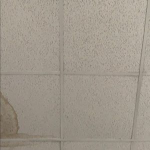 Meet your Posher, Jordyne